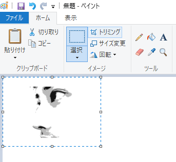 切り取った画像をペイントに張り付け